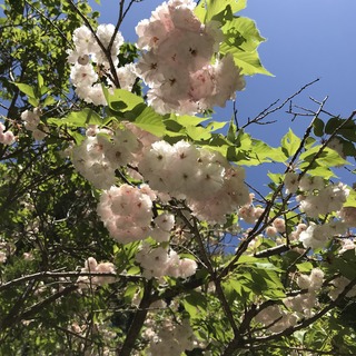 3F922B32-1EE7-4BDB-877D-AE66CD8EC9B3.jpeg