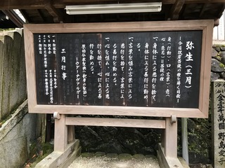 5EDDEDE5-D900-4277-93D7-2301968760D2.jpeg