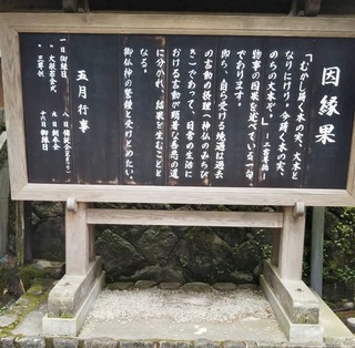 79997C1C-43A0-45D4-B65E-431AA7E43E43.jpeg