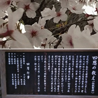 D5B99A28-8EFC-407A-941B-5E7DD9DB7D63.jpeg