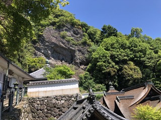 IMG_3003.jpeg