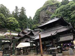 IMG_3064.jpeg