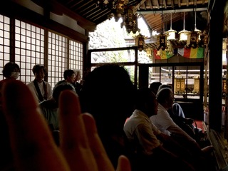 IMG_3070.jpeg