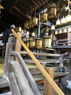 IMG_3875.jpeg