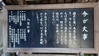 IMG_4650.jpeg