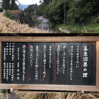 IMG_5705.jpeg