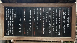 IMG_6977.jpeg